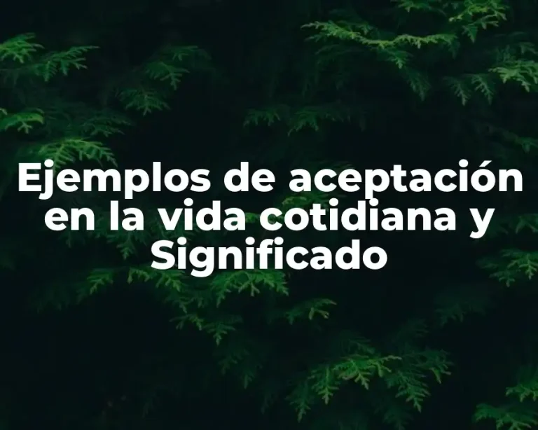 Ejemplos de aceptación en la vida cotidiana y Significado