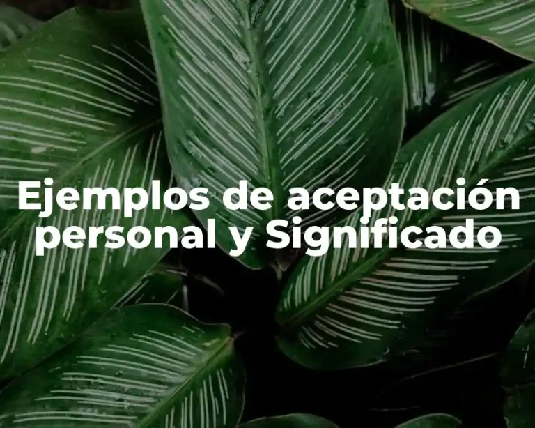Ejemplos de aceptación personal y Significado