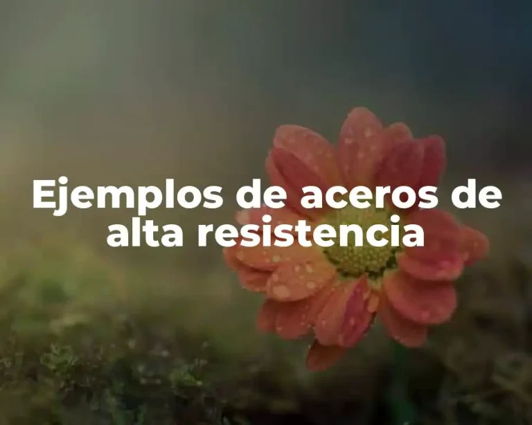 Ejemplos de aceros de alta resistencia