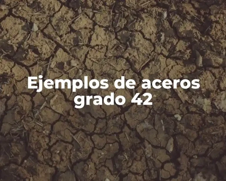 Ejemplos de aceros grado 42