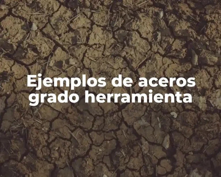 Ejemplos de aceros grado herramienta