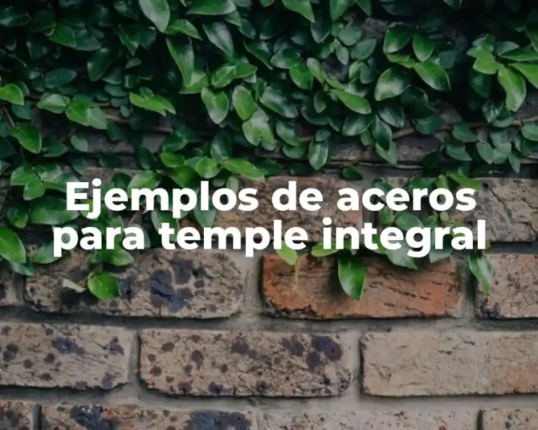 Ejemplos de aceros para temple integral