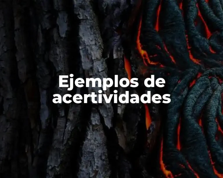 Ejemplos de acertividades