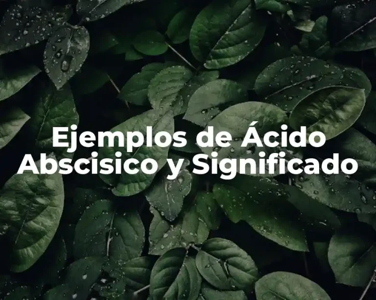 Ejemplos de Ácido Abscisico y Significado