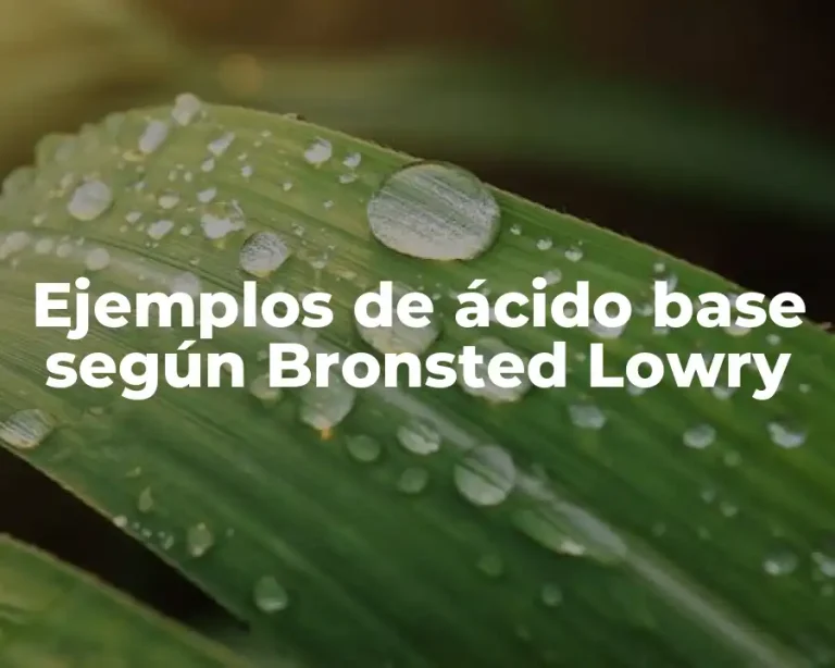 Ejemplos de ácido base según Bronsted Lowry