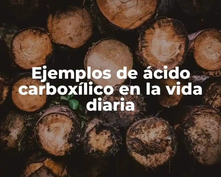 Ejemplos de ácido carboxílico en la vida diaria