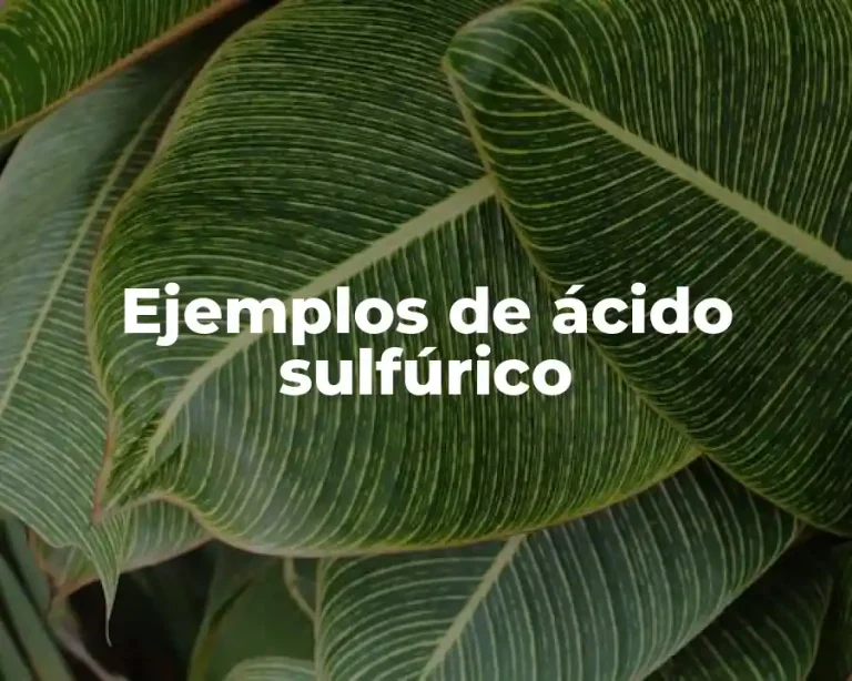 Ejemplos de ácido sulfúrico