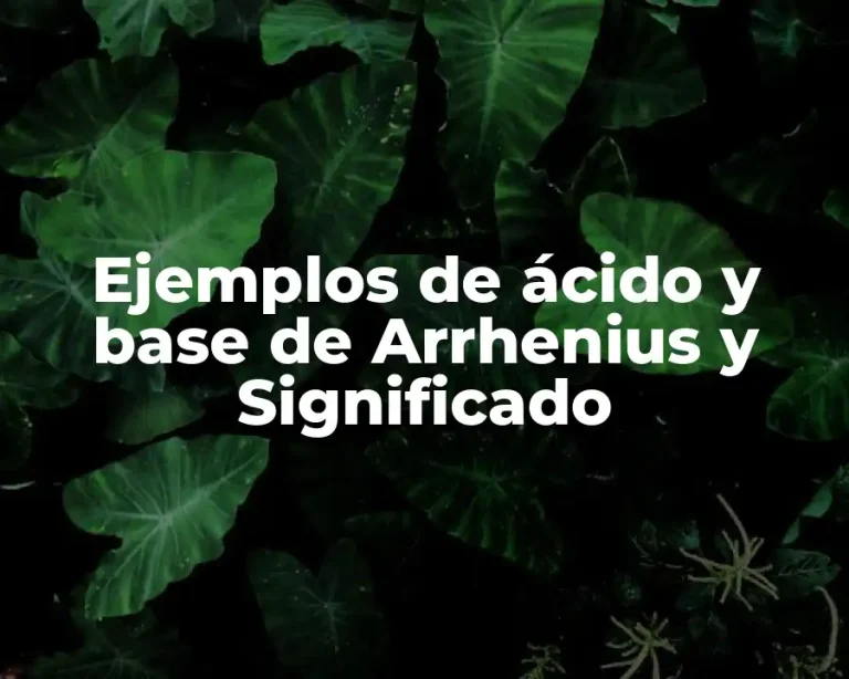 Ejemplos de ácido y base de Arrhenius y Significado