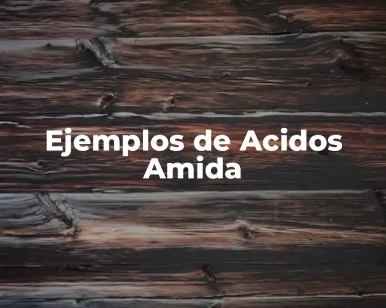 Ejemplos de Acidos Amida
