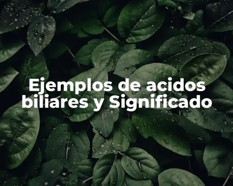 Ejemplos de acidos biliares y Significado