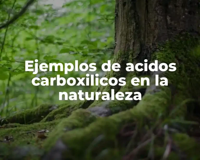 Ejemplos de acidos carboxilicos en la naturaleza