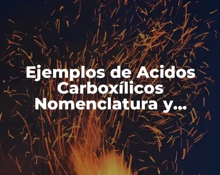 Ejemplos de Acidos Carboxílicos Nomenclatura y Significado
