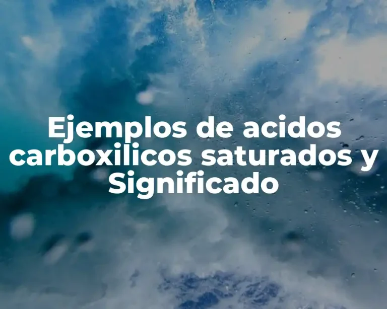 Ejemplos de acidos carboxilicos saturados y Significado