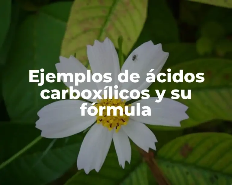 Ejemplos de ácidos carboxílicos y su fórmula