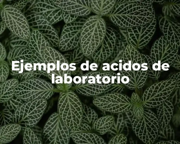 Ejemplos de acidos de laboratorio
