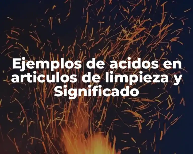Ejemplos de acidos en articulos de limpieza y Significado