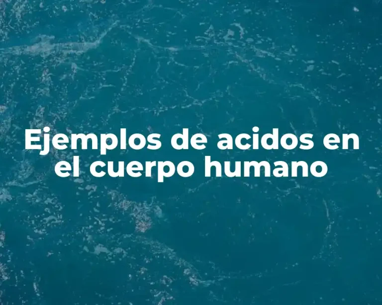 Ejemplos de acidos en el cuerpo humano