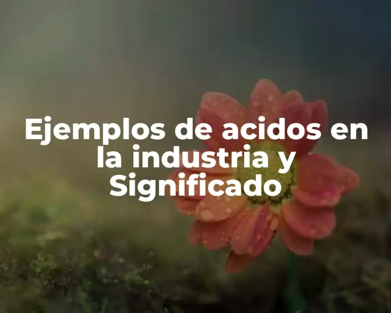 Ejemplos de acidos en la industria y Significado