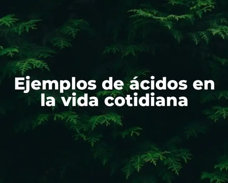 Ejemplos de ácidos en la vida cotidiana