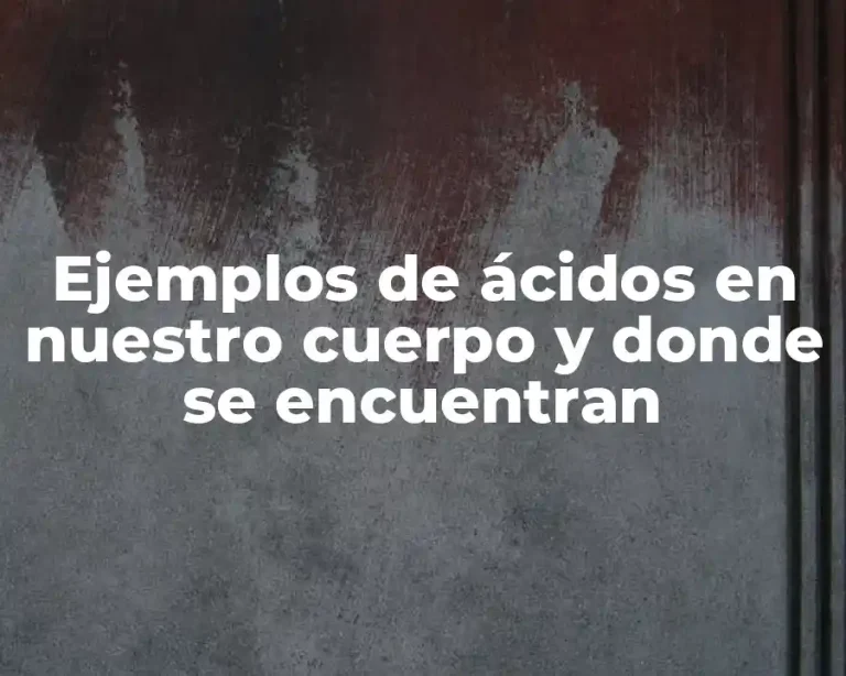 Ejemplos de ácidos en nuestro cuerpo y donde se encuentran