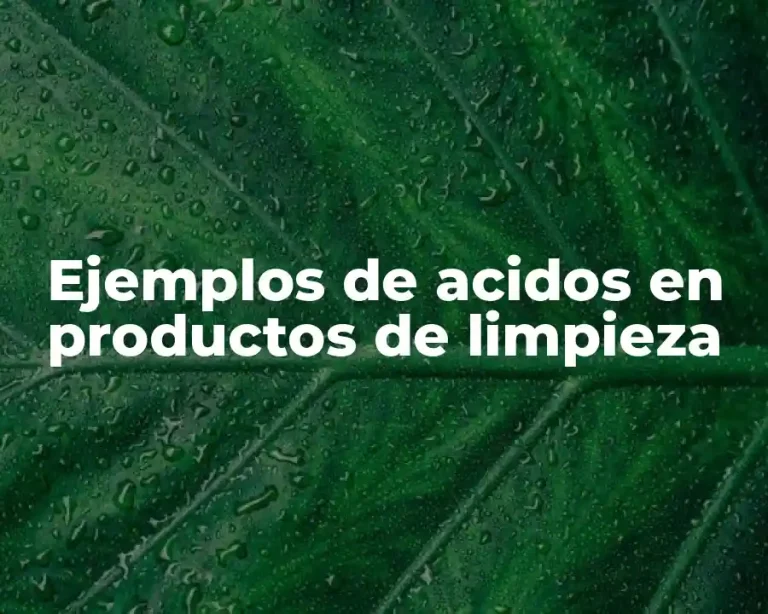 Ejemplos de acidos en productos de limpieza
