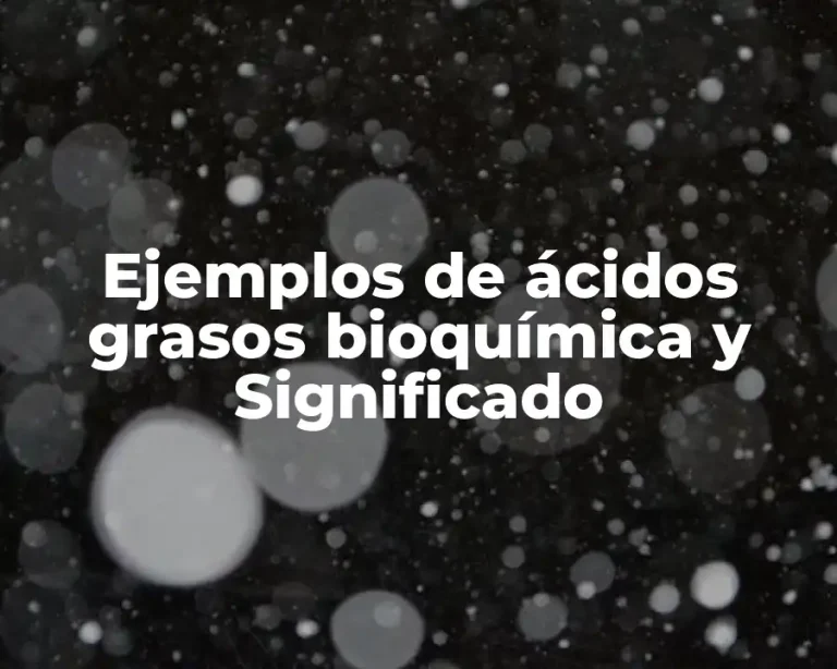 Ejemplos de ácidos grasos bioquímica y Significado