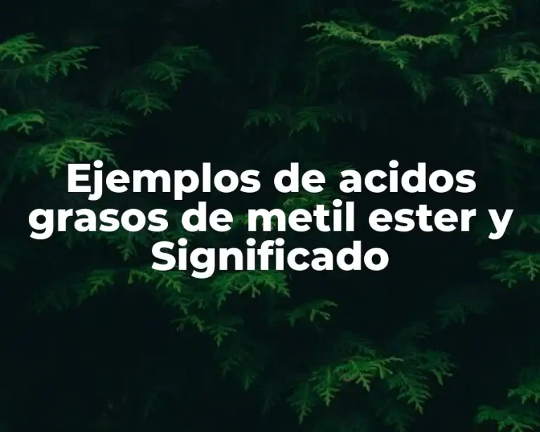 Ejemplos de acidos grasos de metil ester y Significado