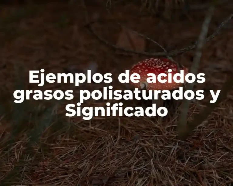 Ejemplos de acidos grasos polisaturados y Significado