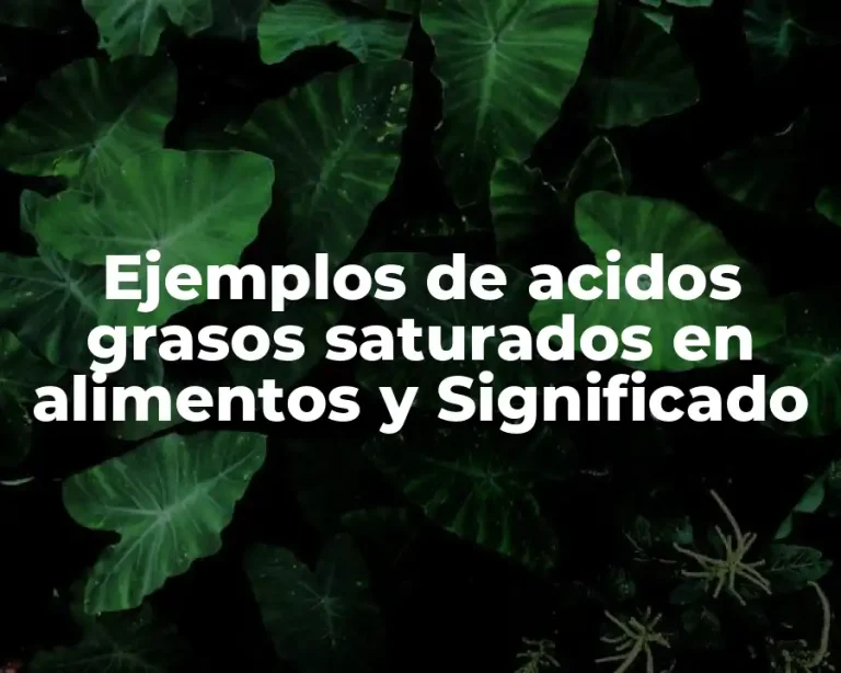 Ejemplos de acidos grasos saturados en alimentos y Significado