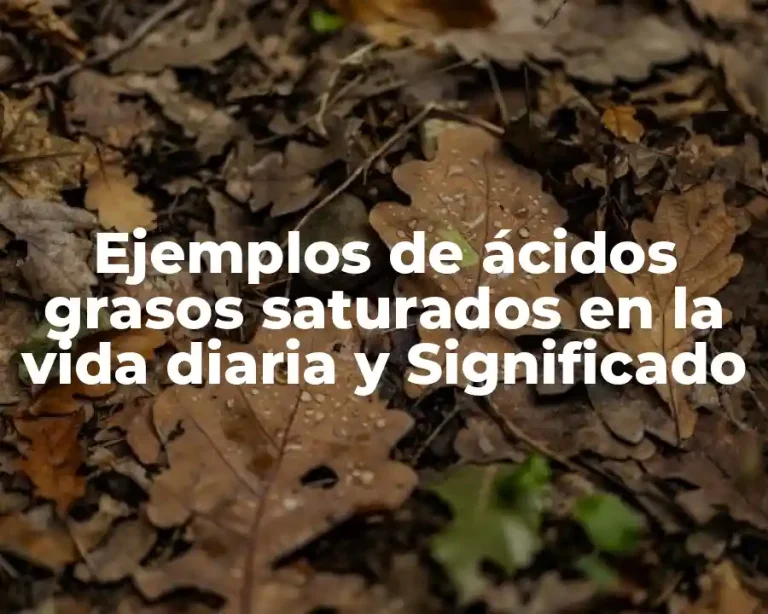 Ejemplos de ácidos grasos saturados en la vida diaria y Significado