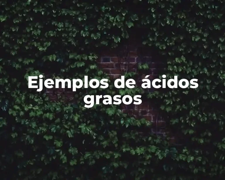 Ejemplos de ácidos grasos