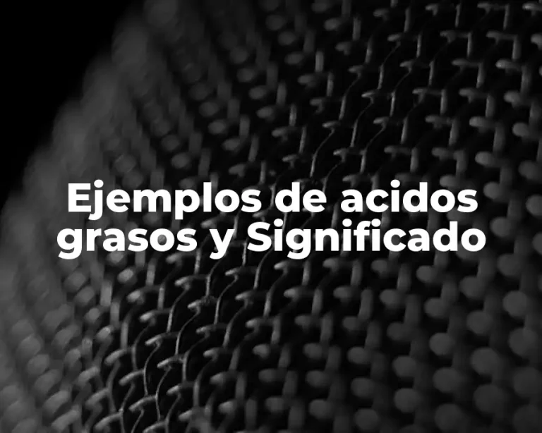 Ejemplos de acidos grasos y Significado