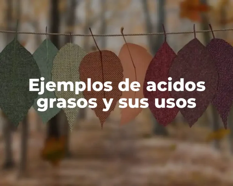 Ejemplos de acidos grasos y sus usos
