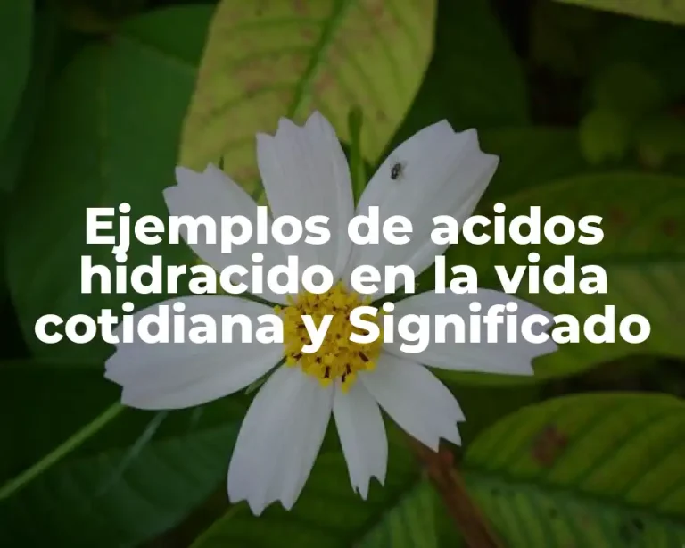 Ejemplos de acidos hidracido en la vida cotidiana y Significado