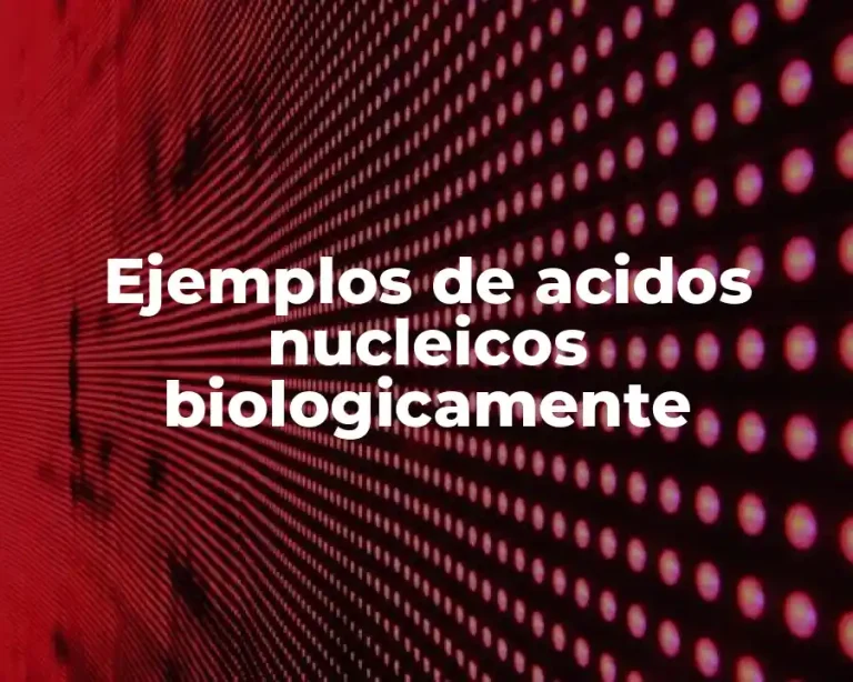 Ejemplos de acidos nucleicos biologicamente