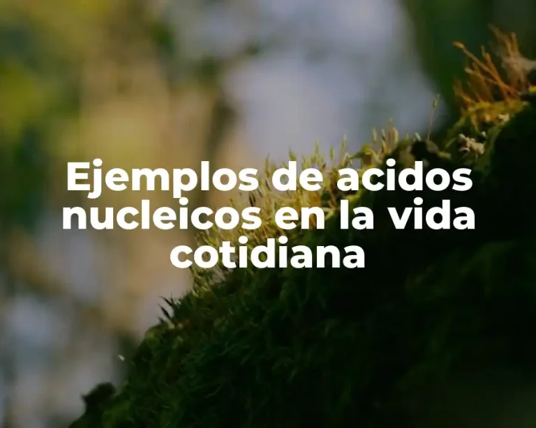 Ejemplos de acidos nucleicos en la vida cotidiana