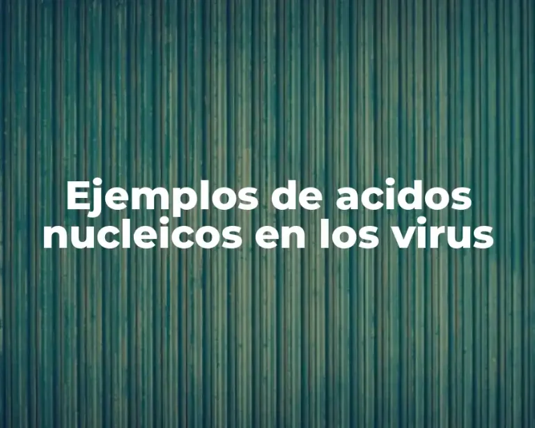 Ejemplos de acidos nucleicos en los virus