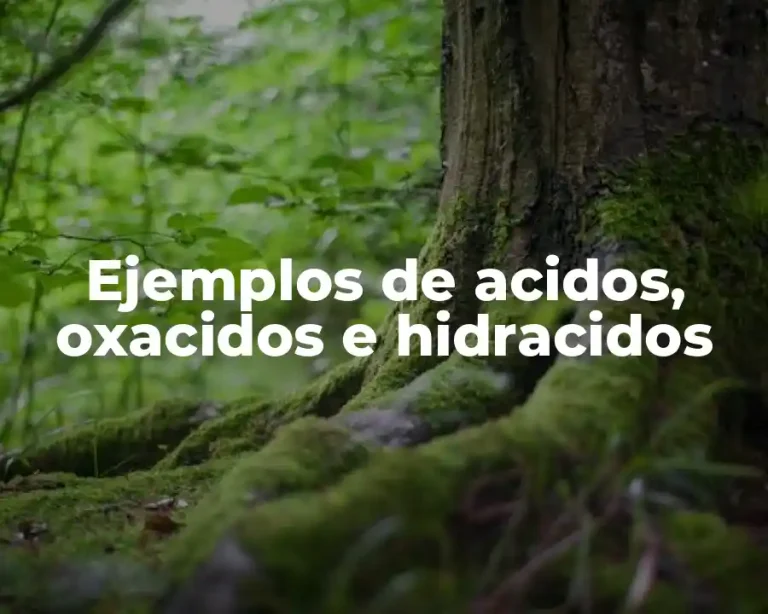 Ejemplos de acidos, oxacidos e hidracidos