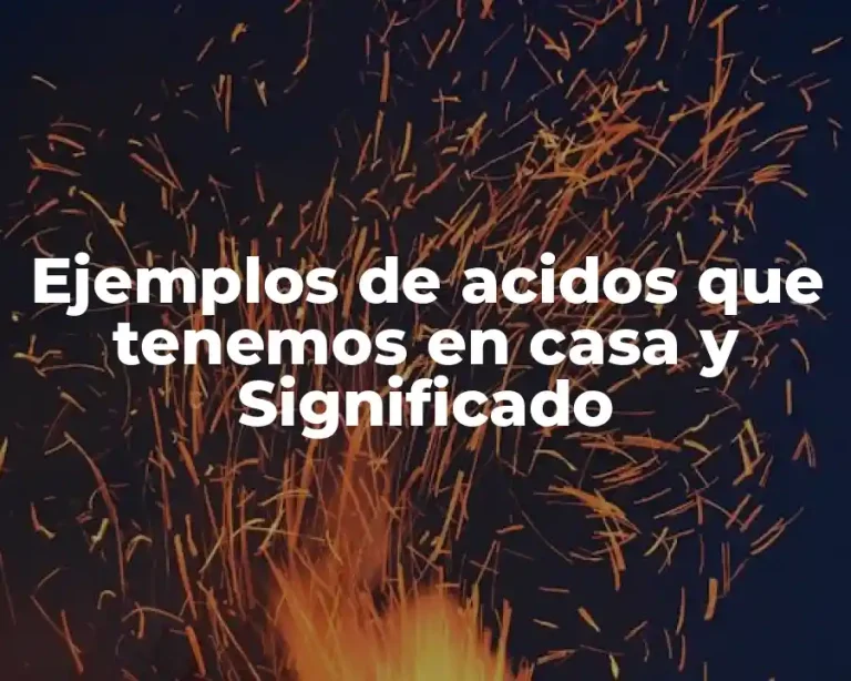 Ejemplos de acidos que tenemos en casa y Significado