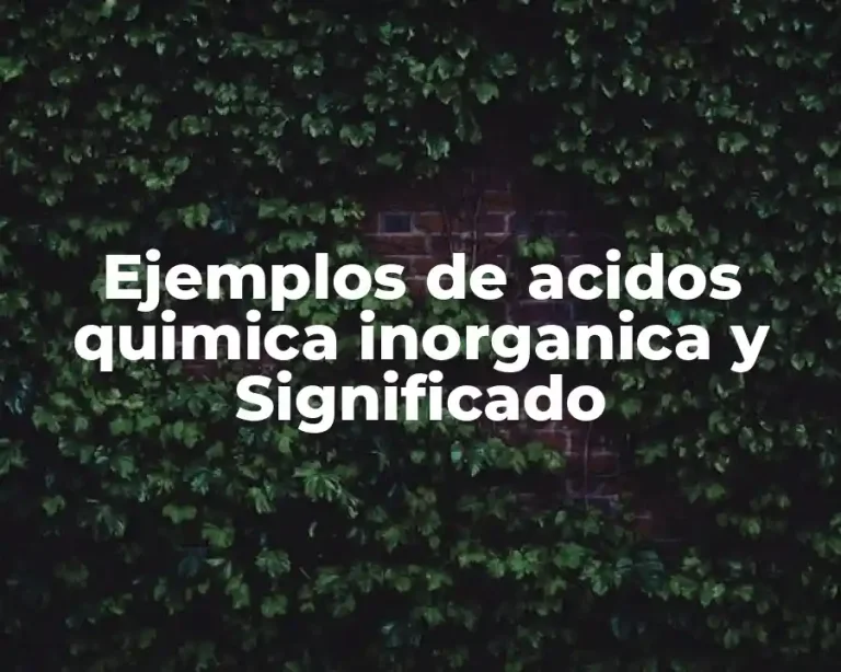 Ejemplos de acidos quimica inorganica y Significado