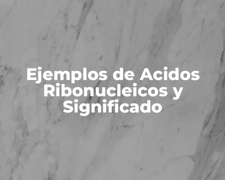 Ejemplos de Acidos Ribonucleicos y Significado