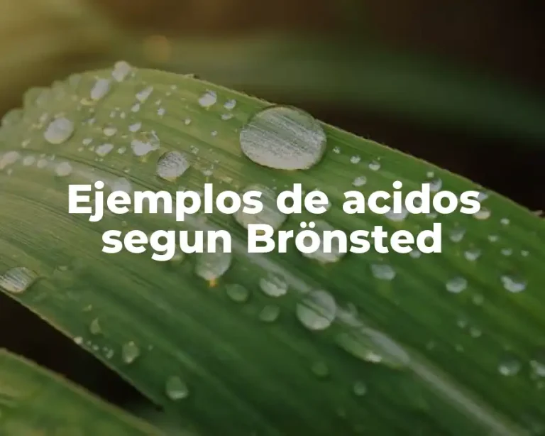Ejemplos de acidos segun Brönsted