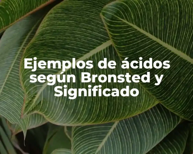 Ejemplos de ácidos según Bronsted y Significado