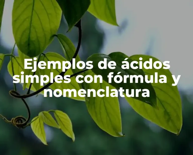 Ejemplos de ácidos simples con fórmula y nomenclatura