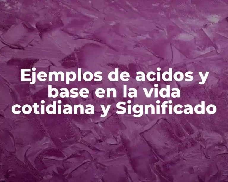 Ejemplos de acidos y base en la vida cotidiana y Significado