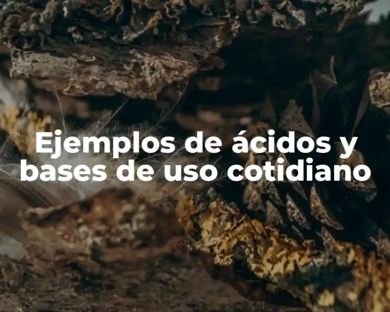 Ejemplos de ácidos y bases de uso cotidiano