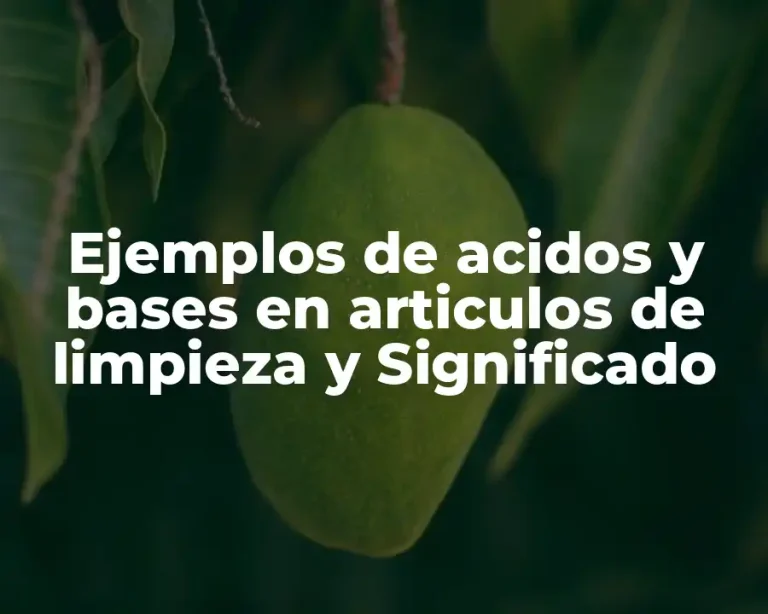 Ejemplos de acidos y bases en articulos de limpieza y Significado