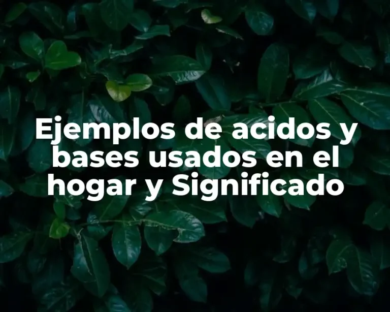 Ejemplos de acidos y bases usados en el hogar y Significado