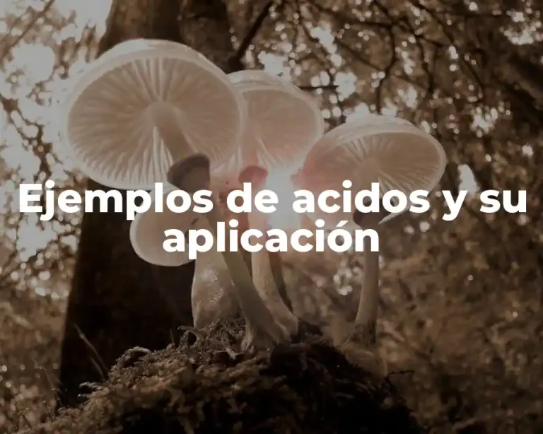 Ejemplos de acidos y su aplicación