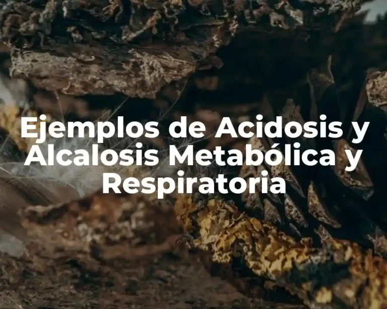 Ejemplos de Acidosis y Alcalosis Metabólica y Respiratoria